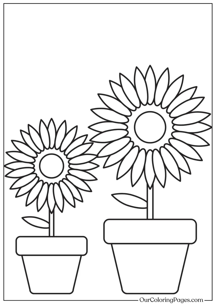 sunflower with pot coloring page