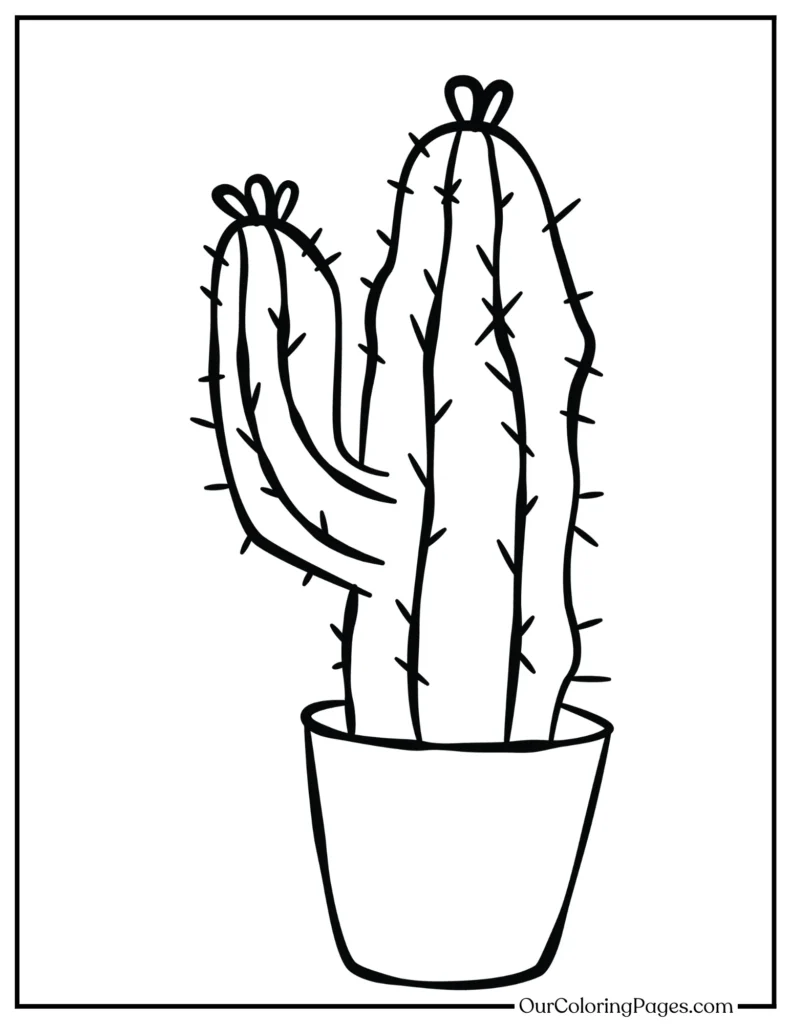 Cactus Canvas, Printable Coloring Pages for Artistic Expression