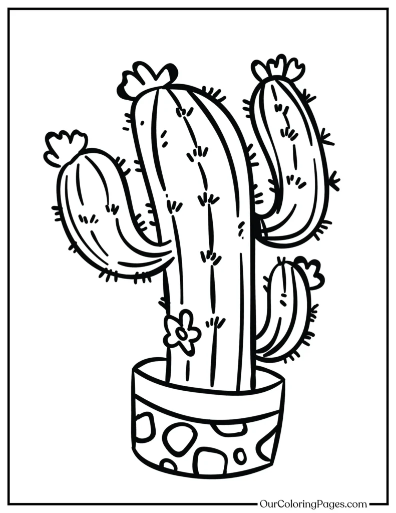 Cactus Chronicles, Explore the World of Coloring Delights