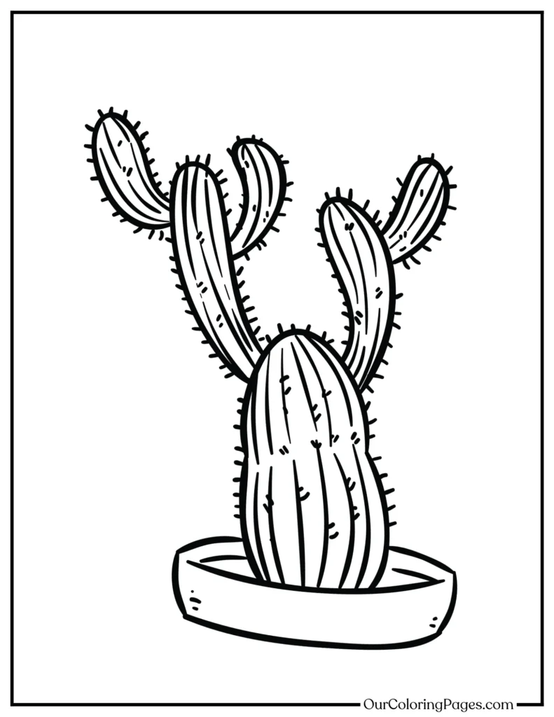 Cactus Garden Adventure, Printable Coloring Pages Await