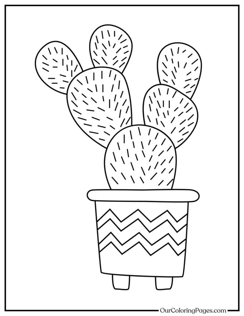 Discover the Beauty of Cacti, Free Coloring Pages Collection