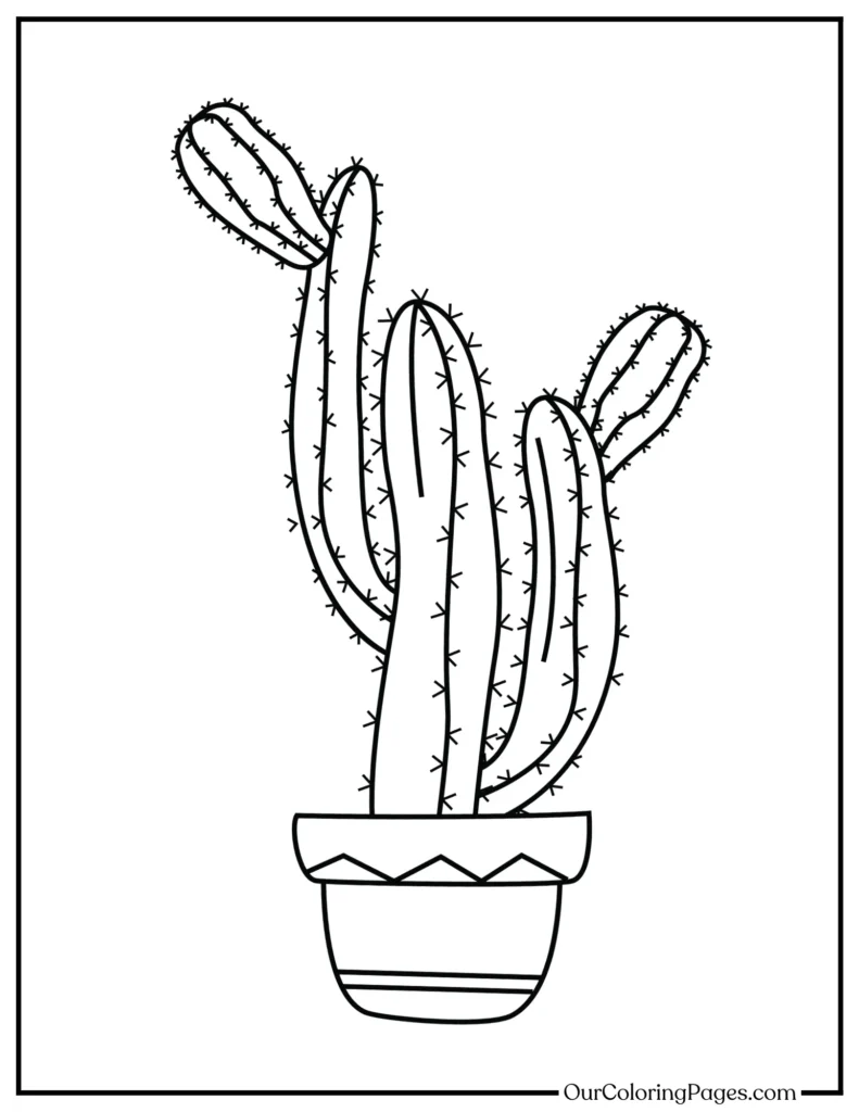 Dive into Desert Beauty, Printable Cactus Coloring Pages Collection