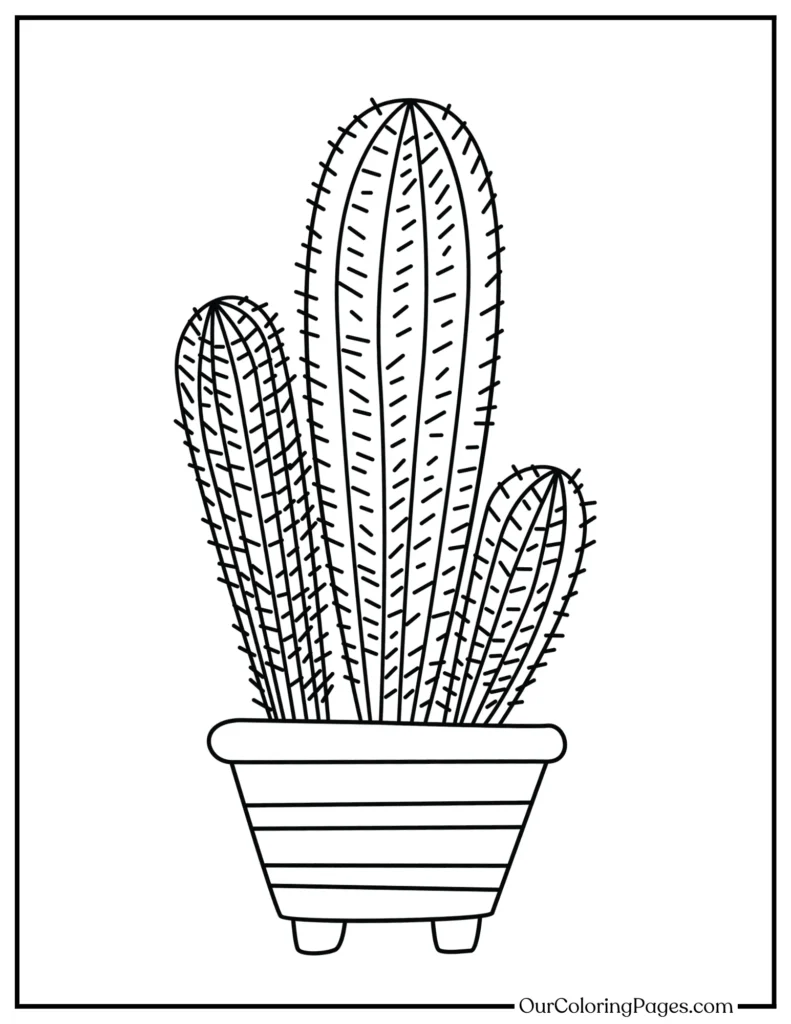 Escape to the Desert, Cactus Coloring Pages for Tranquility