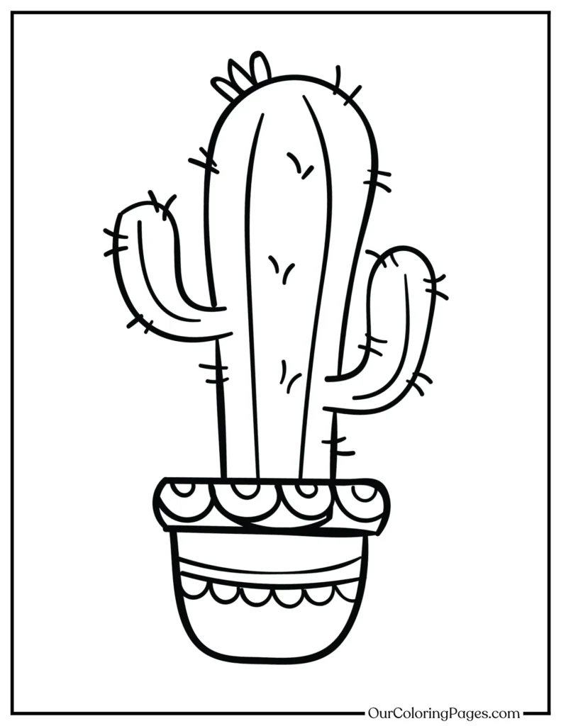 Journey Through the Desert, Explore Cactus Coloring Pages