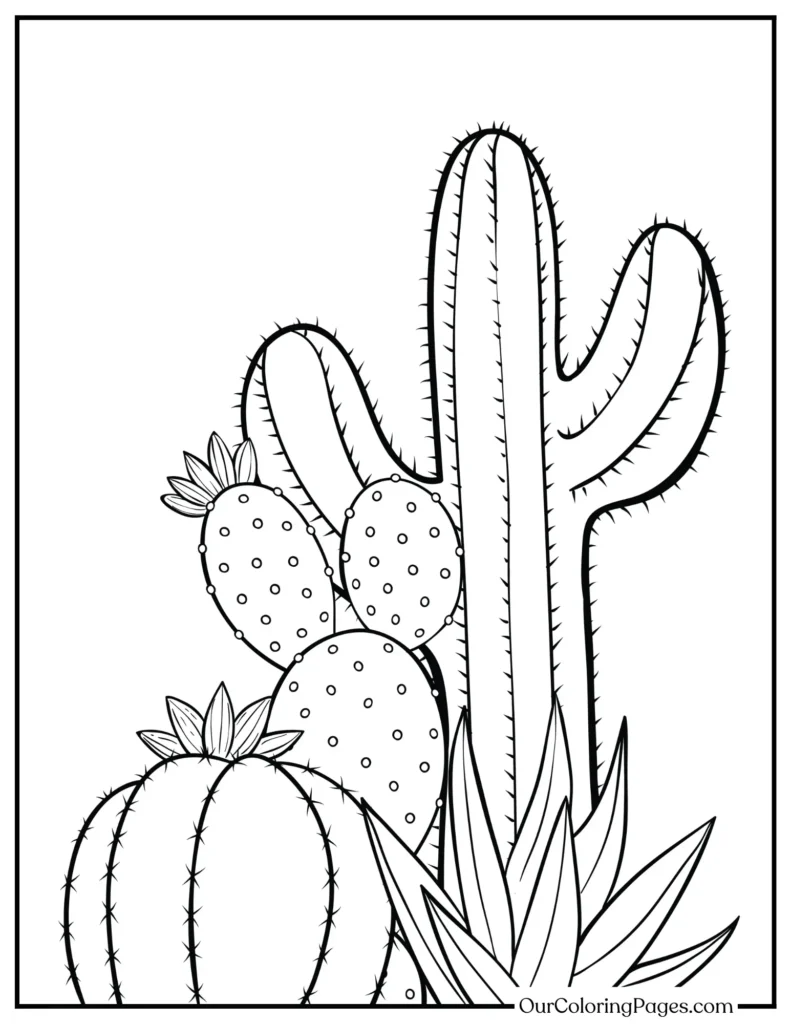 Prickly Paradise, Free Cactus Coloring Pages for All Ages
