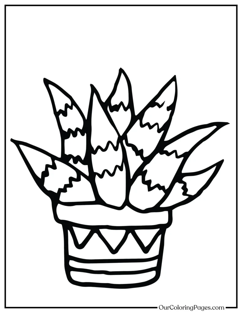 Prickly Patterns, Explore Intricate Cactus Coloring Pages