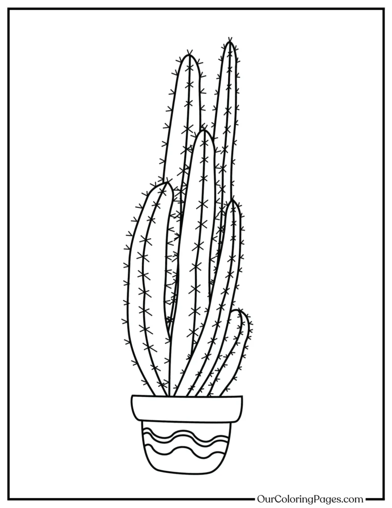 Succulent Splashes, Dive into Cactus Coloring Pages Today