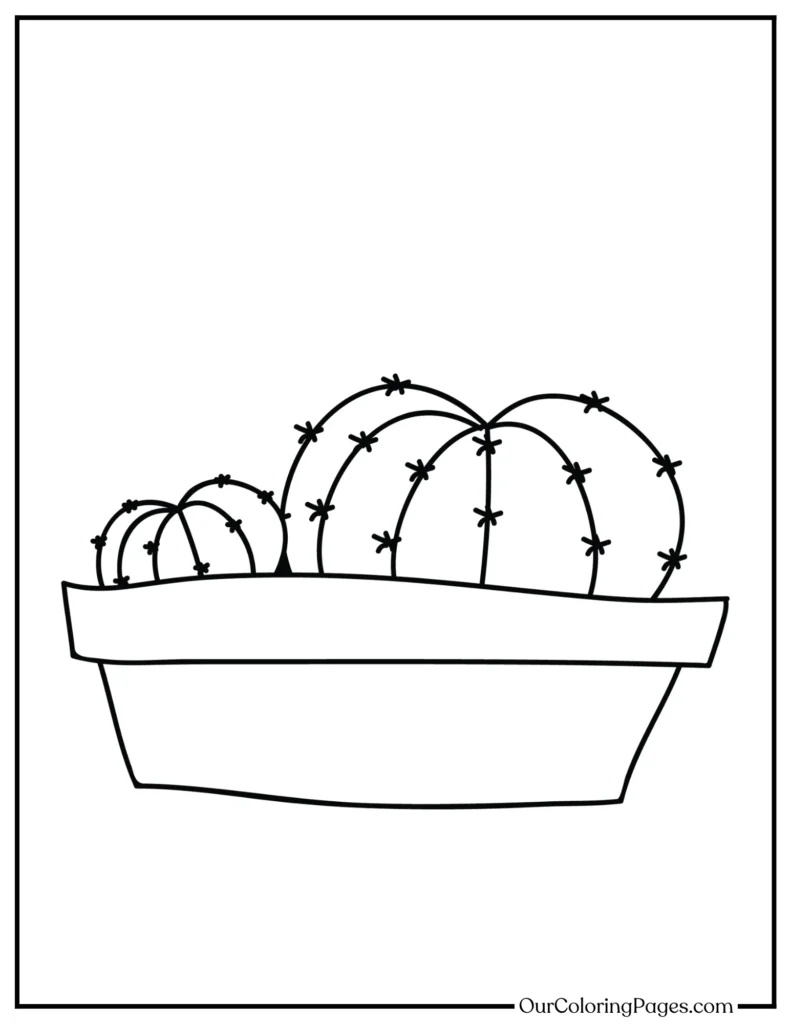Thorny Treasures, Discover Unique Cactus Coloring Pages